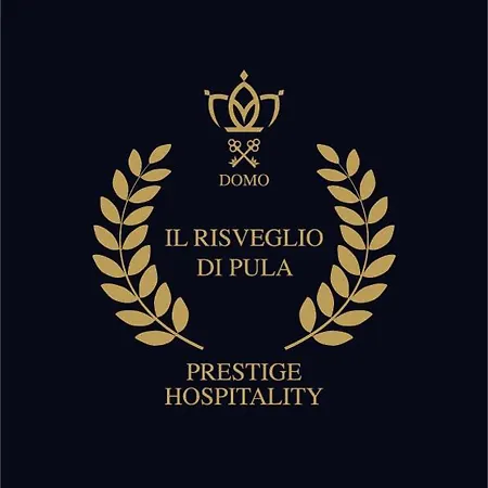 Il Risveglio Di Domo